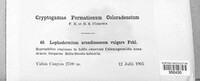 Image Associated With the Occurence